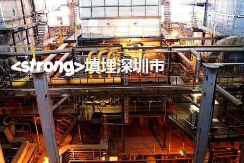 <strong>填埋深圳市危險廢物處理站有限公司化工設(shè)施安全解體：如何高效處理復(fù)雜工業(yè)遺留問題？</strong>